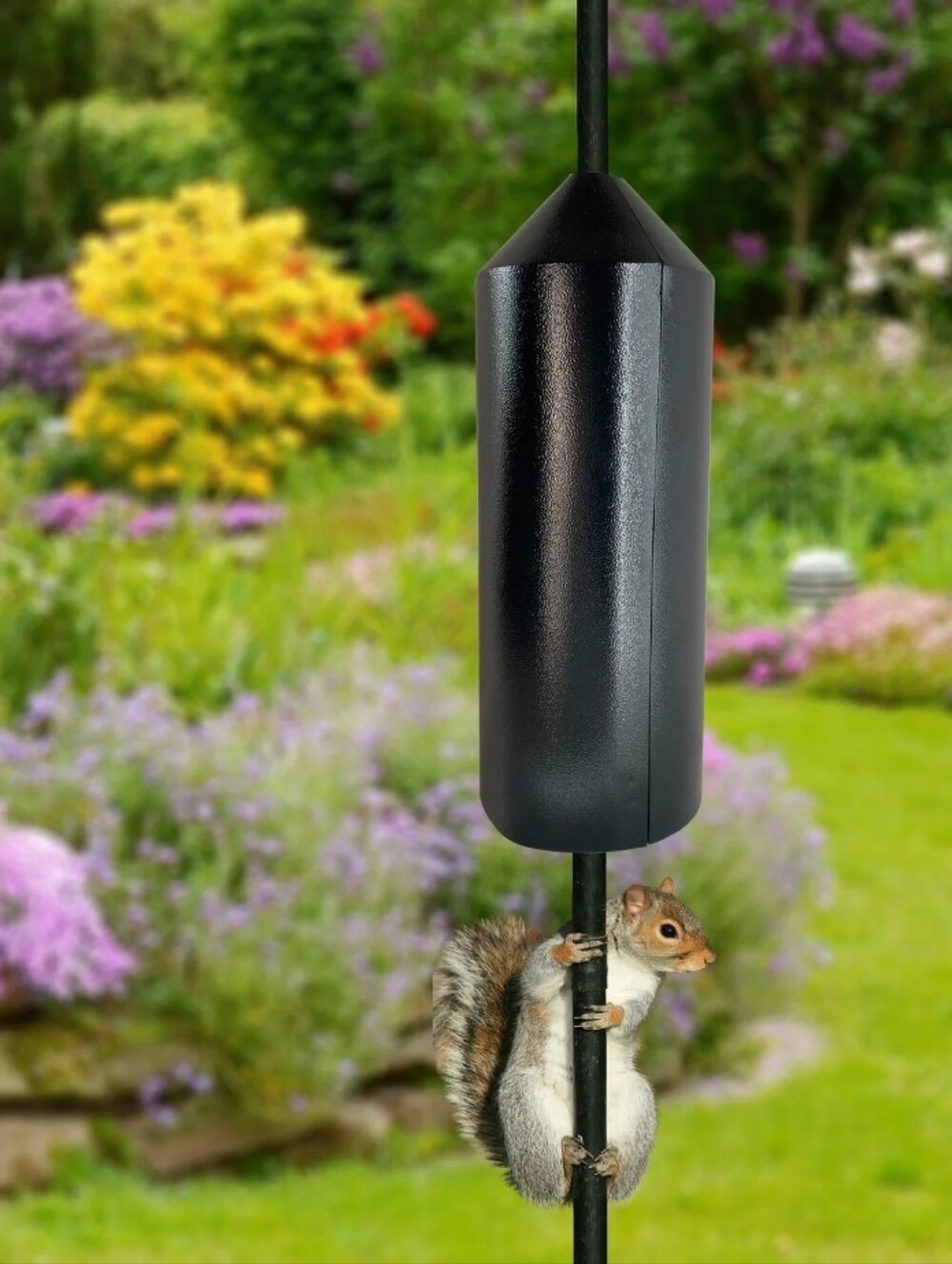 Panacea Products Metal, Pole Mount 15" Squirrel Baffle, Black